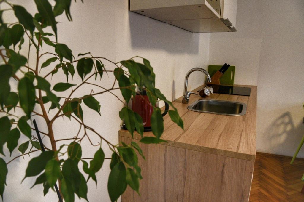 זאגרב Two Flowers Apartments מראה חיצוני תמונה